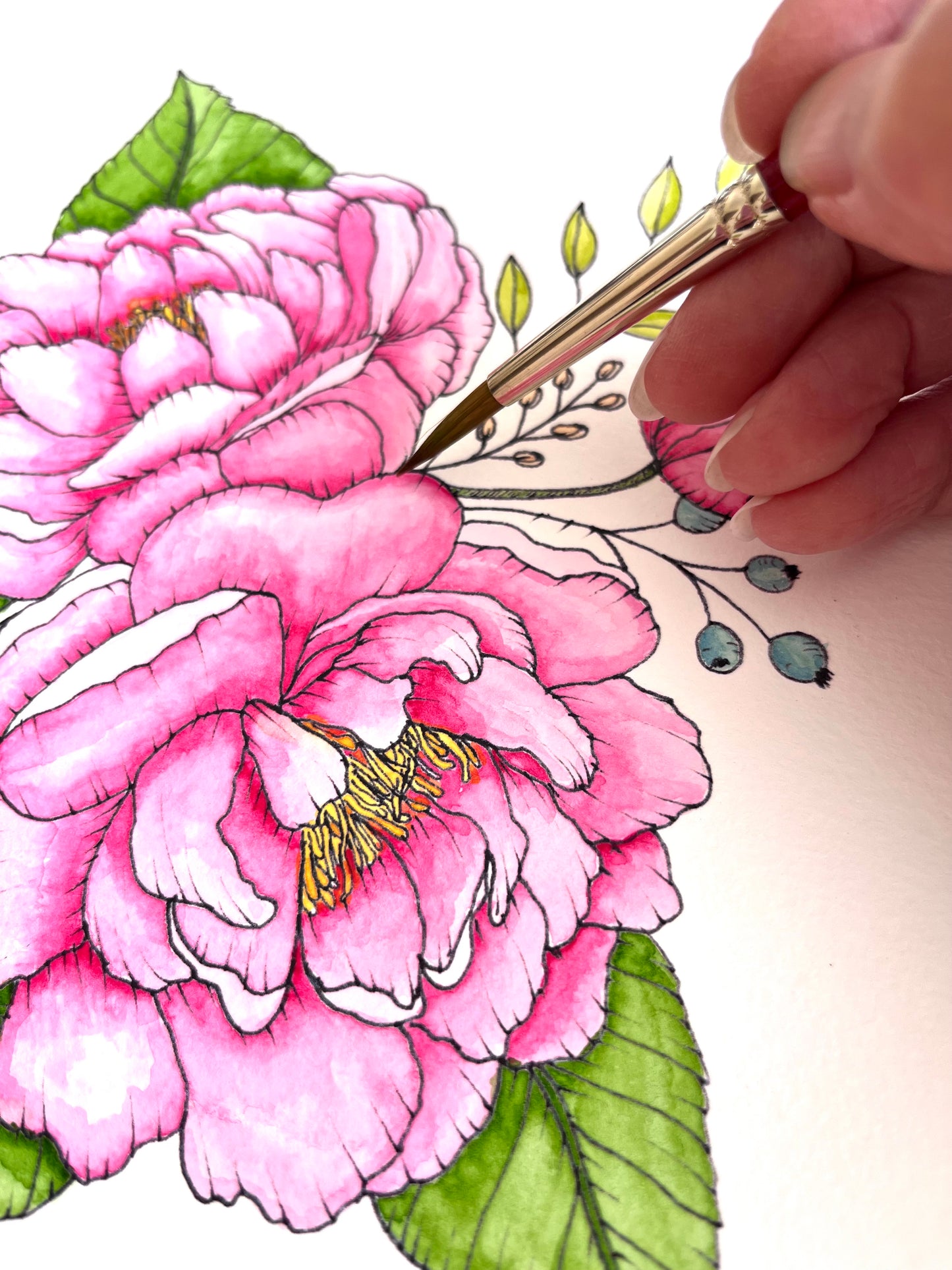 Peonies DIY Watercolor Kit
